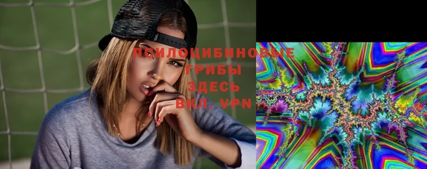 соль ск Заволжск