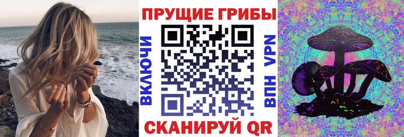 Галлюциногенные грибы Psilocybe  где можно купить   Сасово 